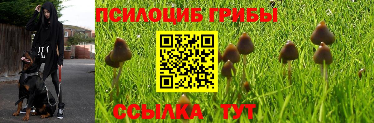 Псилоцибиновые грибы ЛСД Пушкино